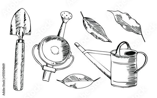 Garden tools with leaves on a white background. Set of graphic elements. Hand drawn vector illustration. Black and white outline sketches.