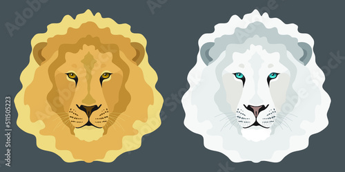 Canvas-taulu The lion face is orange and white with blue eyes