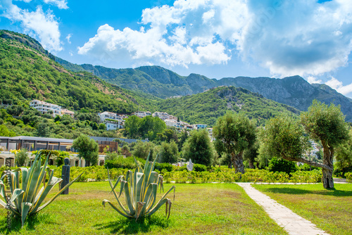 Landscape of the beautiful green Royal park in the Sveti Stefan beach