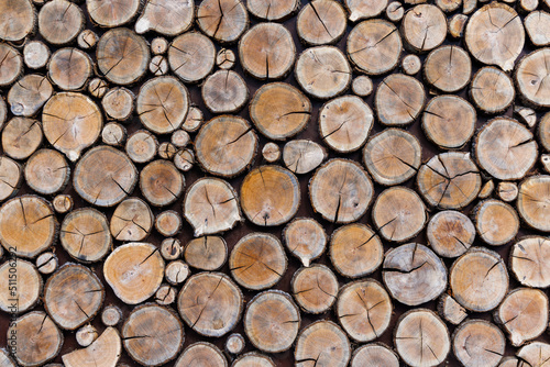 Background of round dry wooden cuts