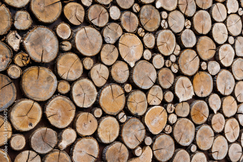 Background of round dry wooden cuts