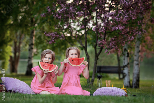 Kids Twin eat watermelon, sit on grass and have picnic in nature public park. Identical little girls look at camera and wear pink dresses. Children summer holidays