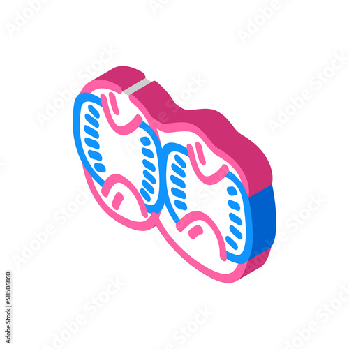 broiler stomachs isometric icon vector. broiler stomachs sign. isolated symbol illustration