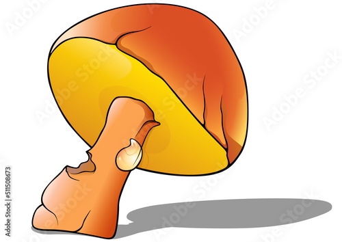 Orange-cap Boletus as Cartoon Forest Mushroom - Colored Illustration Isolated on White Background, Vector