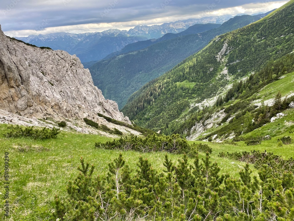Obraz premium landscape with mountains