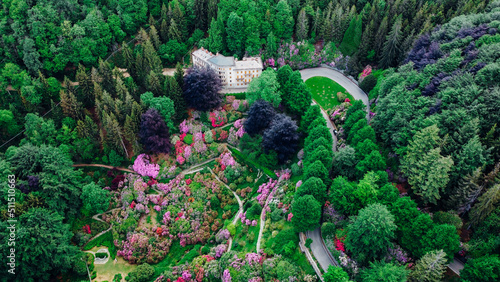 Aerial view of colorful blooming rhododendron shrubs among the trees in the Oasi Zegna, natural area and tourist attraction in the Province of Biella, Piedmont, Italy. photo