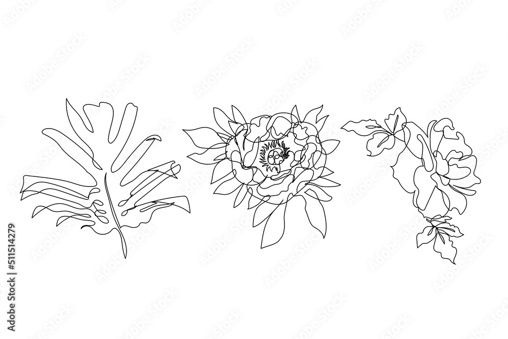 One single line drawings of rose, peony flowers and monstera leaf. Abstract botanical line art. One single line drawings of rose, peony flowers and monstera leaf. Abstract botanical line art.