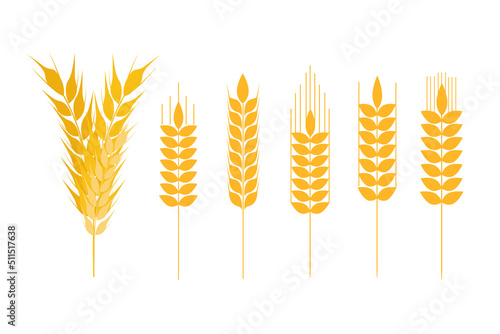 Collection of golden ripe spikelets of wheat. Agricultural symbol, flour production. Vector silhouette of wheat.