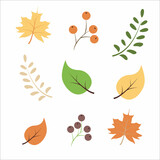 Autumn leaves. Vector illustration isolated on white background.