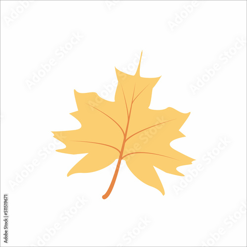 Yellow maple leaf. Vector illustration isolated on white background.