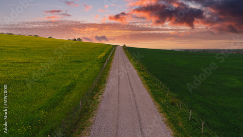 Peaceful journey. A country road among hopeful yellow and green grass. Beautiful sky view and sunset.