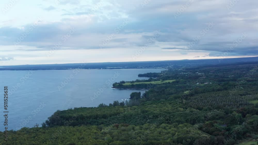 Wide aerial shot flying over the rainforest on the coastline of the Big Island of Hawaii with Hilo Bay in the background. 4K Wide aerial shot flying over the rainforest on the coastline of the Big Island of Hawaii with Hilo Bay in the background. 4K