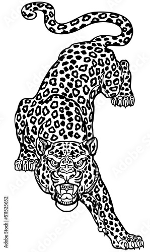 The roaring leopard climbs down looking straight ahead. Crawling spotted panther. Aggressive big cat. Front view. Tattoo style vector illustration