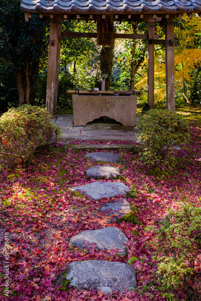 Obraz premium 松尾寺（大阪府和泉市）の紅葉