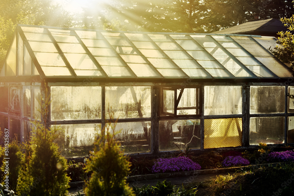 Old greenhouse at sunset