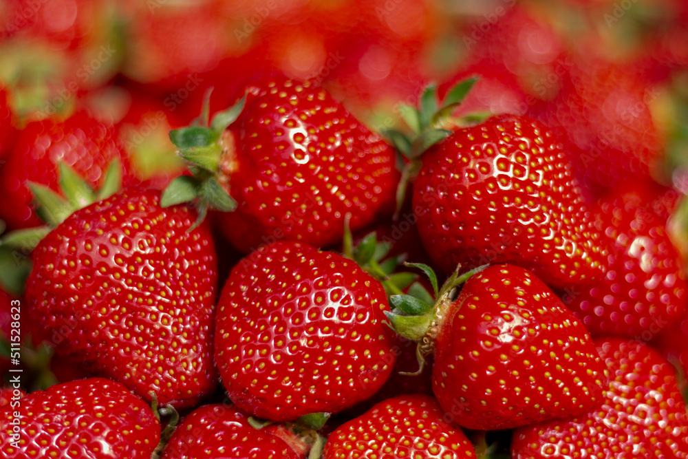 Organic and fresh strawberries in farmer market.A market stall with boxes of fresh strawberries Organic and fresh strawberries in farmer market.A market stall with boxes of fresh strawberries