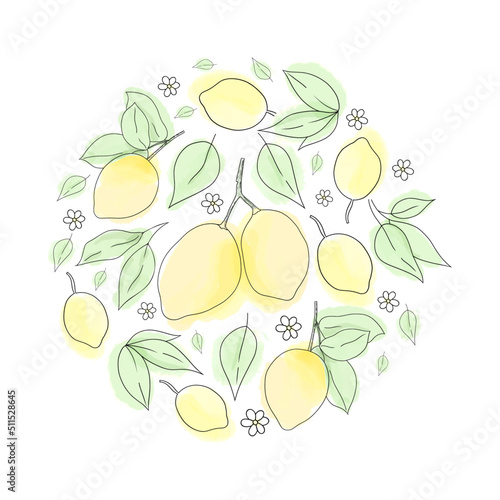 Fototapeta Naklejka Na Ścianę i Meble -  Hand-drawn vector wreath with lemons and leaves
