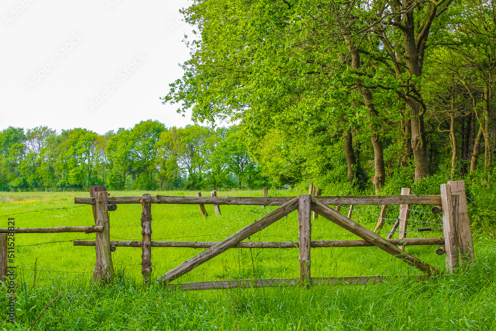 North German agricultural field fence gate nature landscape panorama Germany.