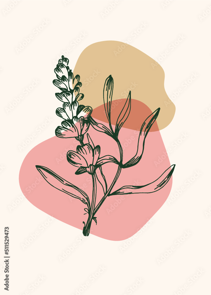 Set of Abstract Lavender Hand Painted Illustrations for Wall Decoration, minimalist flower in sketch style. Postcard, Social Media Banner, Brochure Cover Design Background. Modern Abstract Painting