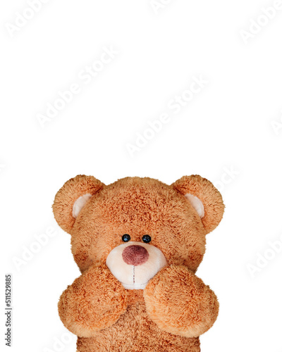 Cute teddy Cute teddy bear isolated on white background.