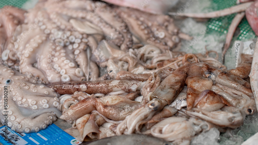 peixe mercado peixe mercado