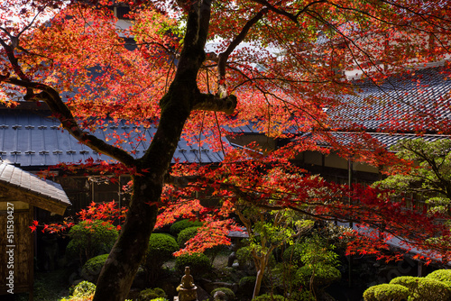 円通寺（兵庫県丹波市）の紅葉