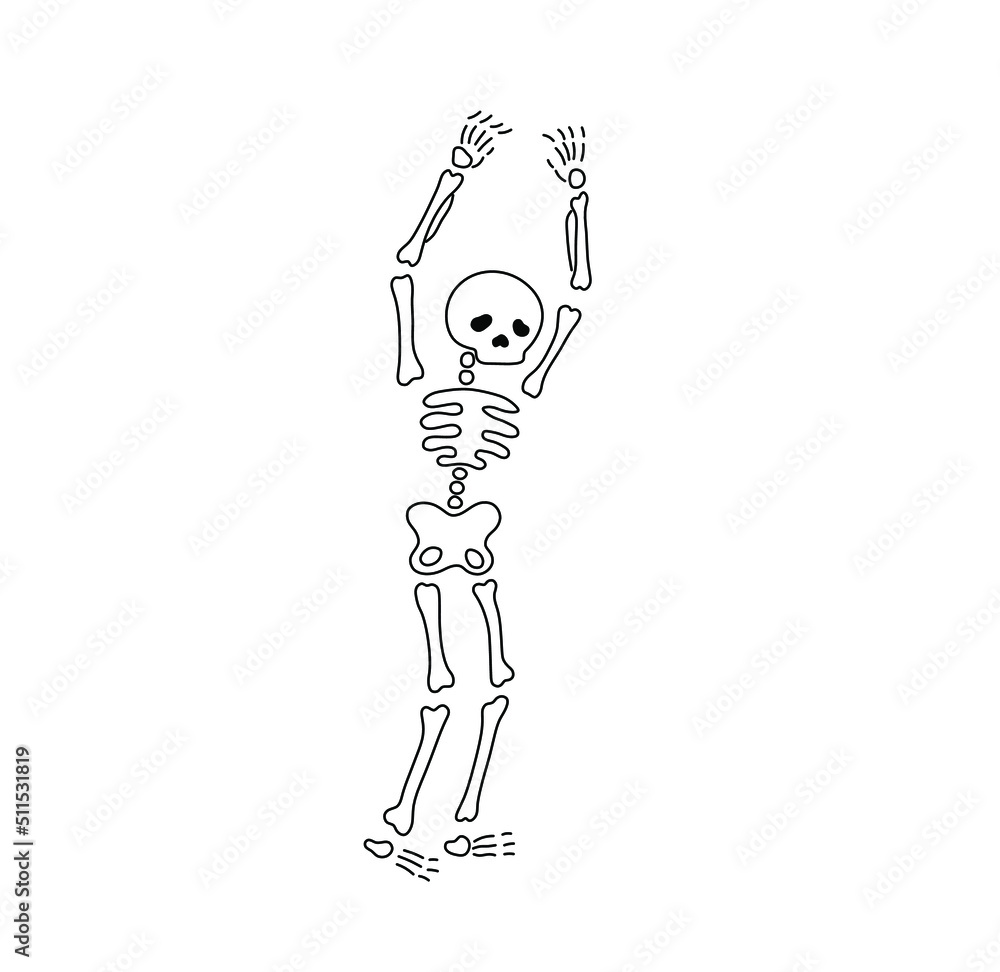 Vector isolated standing human skeleton with his hands up colorless ...