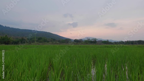 4K Cinematic landscape footage of mountains at the Huai Tueng Thao Lake in Chiang Mai, North Thailand during a beautiful sunset in front of rice fields. photo