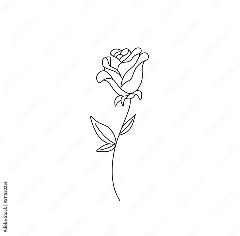 Vector isolated single pretty rose on a stem colorless black and white