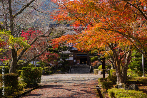 三寶寺（兵庫県丹波市）の紅葉