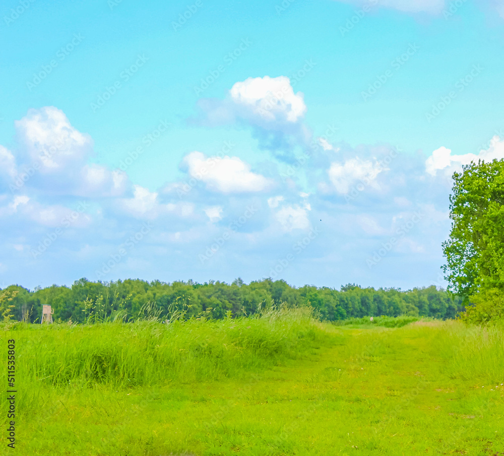North German agricultural field forest trees nature landscape panorama Germany. North German agricultural field forest trees nature landscape panorama Germany.