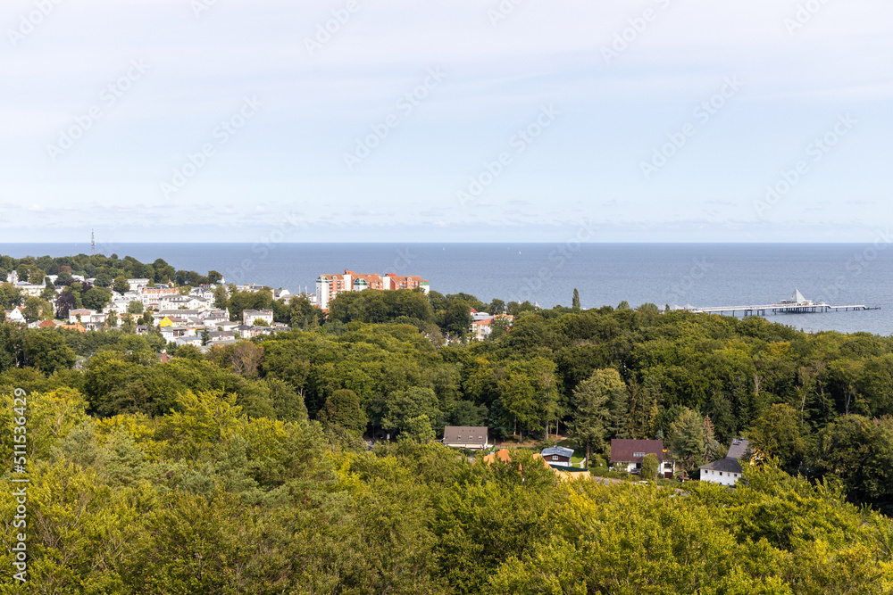 Fototapeta premium The view from the tree-top walk towards the pier at Heringsdorf on the island of Usedom.