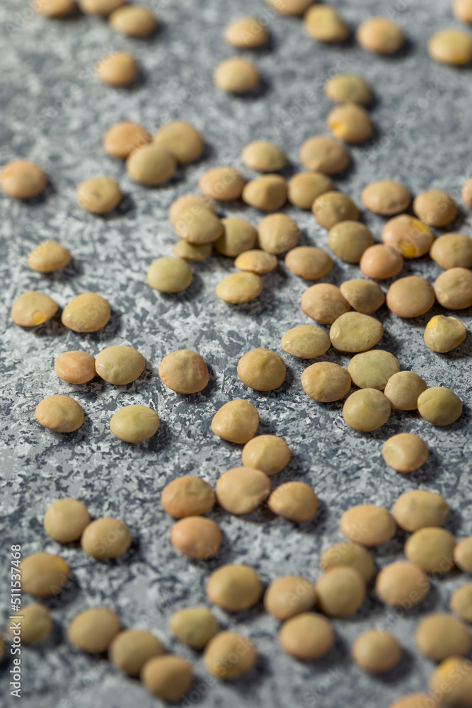 Raw Brown Organic Lentils Legumes Raw Brown Organic Lentils Legumes