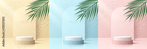 Set of pink, yellow, blue and white realistic 3d cylinder pedestal podium with arch shape and palm leaf. Vector geometric forms. Abstract minimal scene for products stage showcase, Promotion display.
