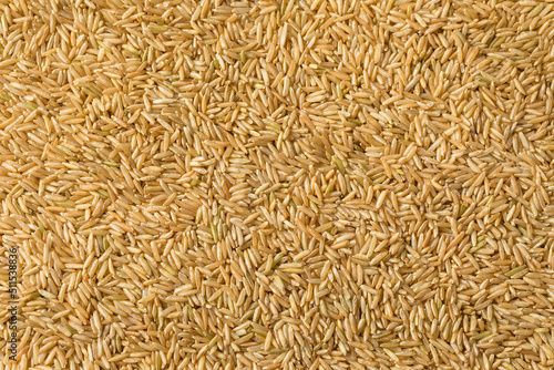 Raw Organic Dry Brown Rice photo