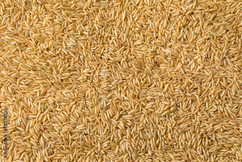 Raw Organic Dry Brown Rice