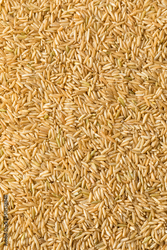 Raw Organic Dry Brown Rice