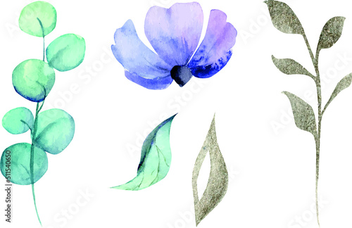 Set of hand drawn watercolor flowers and leaves