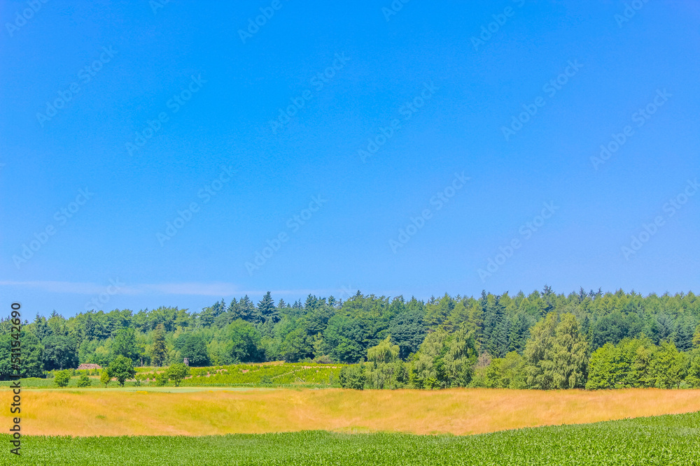 North German agricultural field forest trees nature landscape panorama Germany.
