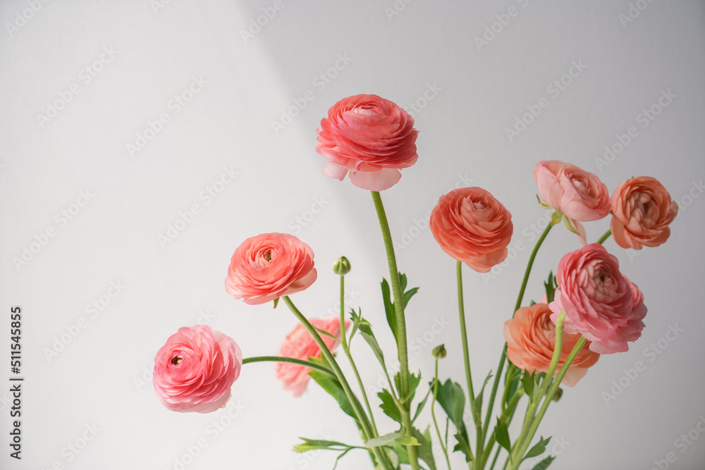 Fototapeta premium bouquet of red ranunculus 
