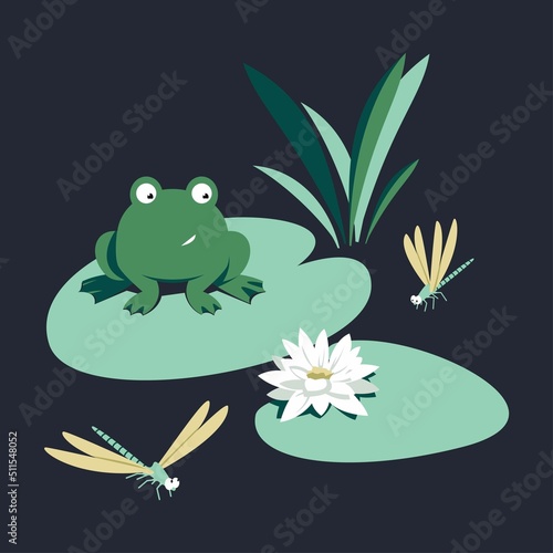 Summer illustration with river characters on a dark background. A cheerful frog watches its prey with interest. Dragonflies on a summer pond fly to a water lily.