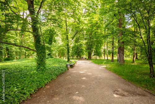 Warszawa, park Łazienki Królewskie, ścieżka z ławkami wśród zielonych drzew. Piękne miejsce na rodzinne spacery.