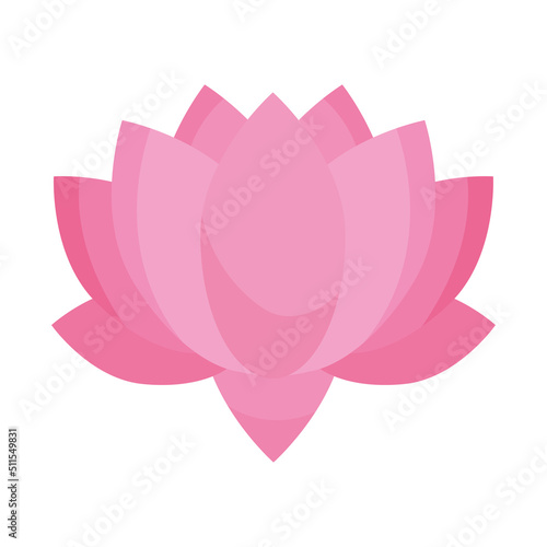 pink lotus flower © Jeronimo Ramos