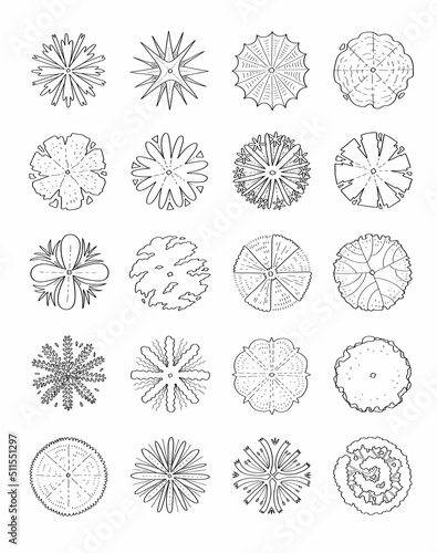 Hand drawn vector set of top view trees.