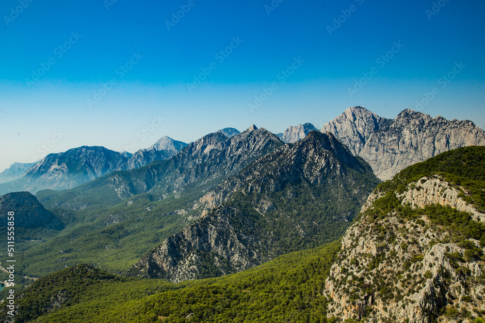 Naklejka premium landscape with mountains