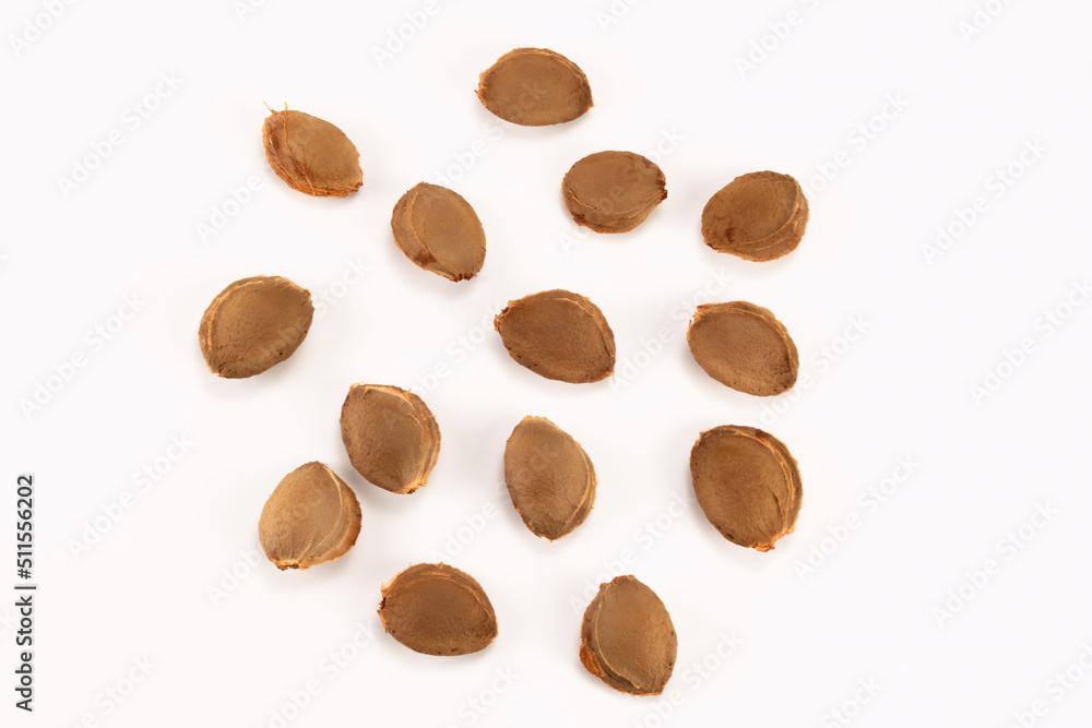 Top view of apricot pits. Healthy food background. Top view of apricot pits. Healthy food background.