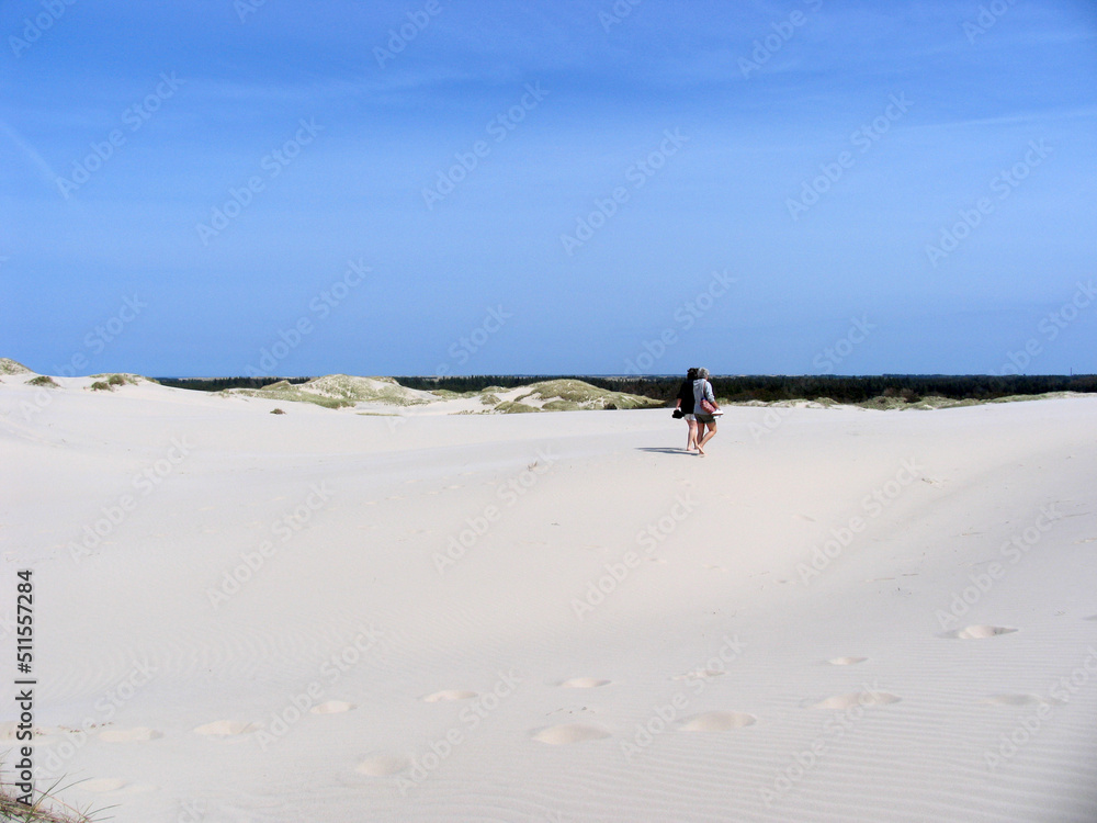 Die Wanderduene Råbjerg Mile im Norden Dänemarks. Juetland, Daenemark, Europa --
The shifting dunes Råbjerg Mile in northern Denmark. Jutland, Denmark, Europe Die Wanderduene Råbjerg Mile im Norden Dänemarks. Juetland, Daenemark, Europa --
The shifting dunes Råbjerg Mile in northern Denmark. Jutland, Denmark, Europe