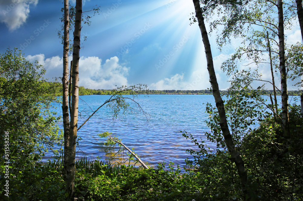 Obraz premium Beautiful idyllic dutch morning lake scenery landscape, forest trees, sun rays - Maasduinen NP, Netherlands