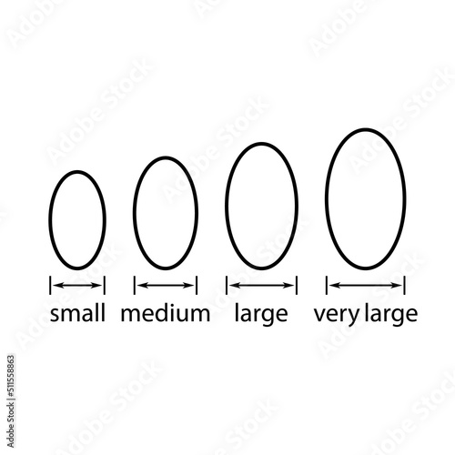 Egg sizes. Set of vector illustrations with arrows and eggs. Drawing on a white background. 