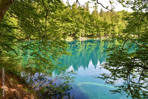 Shore of the Laghi di Fusine Inferiore lake with forest on the shore in Comune di Tarvisio